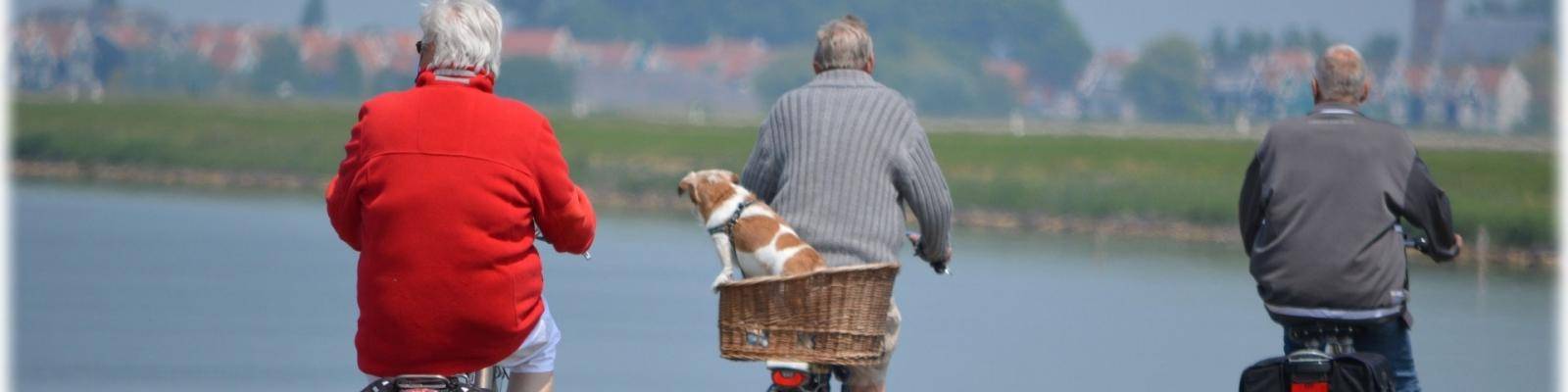 Gepensioneerden op fiets