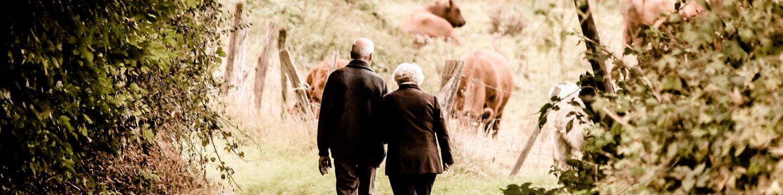 Ouder paar wandelen